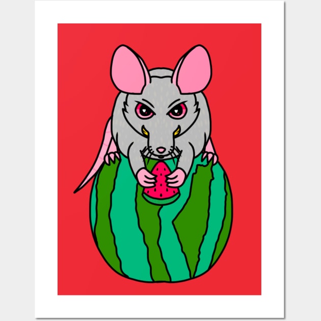 Watermelon Rat (Full Color Version) Wall Art by Rad Rat Studios